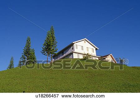 Stock Photo -  a White House Standing on a Green Hill, Low Angle View, Hawaii, USA. Fotosearch