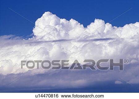 Several Clouds Floating in the Blue Sky, High Angle View, Hawaii, USA View Large Photo Image Stock Photograph - Several Clouds Floating in the Blue Sky, High Angle View, Hawaii, USA. Fotosearch