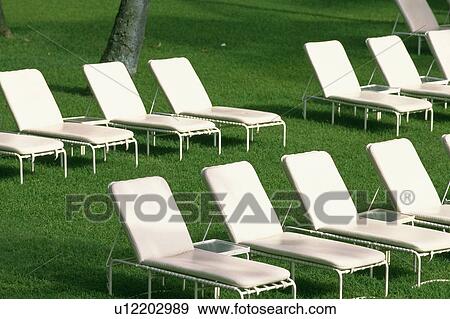 Several White Canvas Chairs Standing on Some Grass, High Angle View, Hawaii, USA View Large Photo Image Stock Photo - Several White Canvas Chairs Standing on Some Grass, High Angle View, Hawaii, USA. Fotosearch