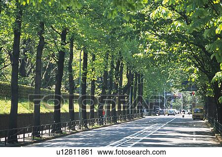 Street View Large Photo Image Stock Image - Street. Fotosearch