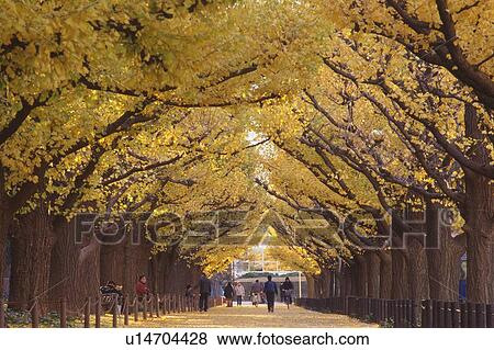 Stock Photo - Street. Fotosearch