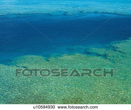 Stock Image - A Coral Reef. Fotosearch