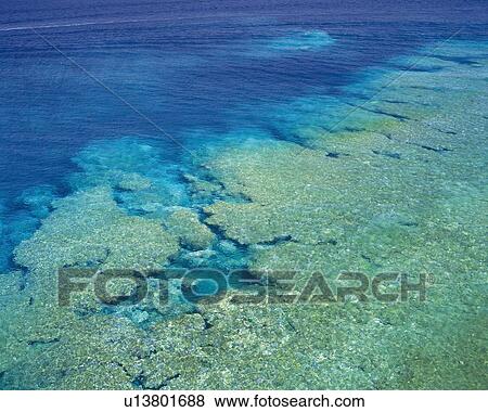 A Coral Reef View Large Photo Image Stock Photo - A Coral Reef. Fotosearch