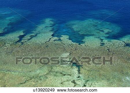 Stock Photo - A Coral Reef. Fotosearch