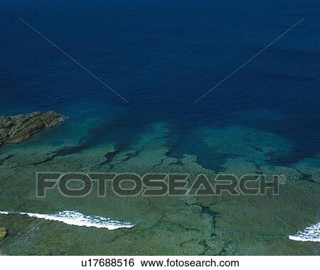 A Coral Reef View Large Photo Image Stock Photograph - A Coral Reef. Fotosearch