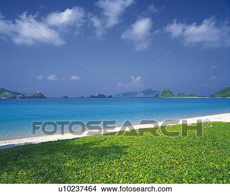 Picture - Beach. Fotosearch