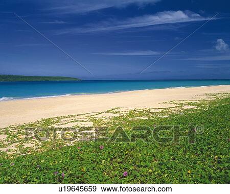 Beach View Large Photo Image Stock Photo - Beach. Fotosearch