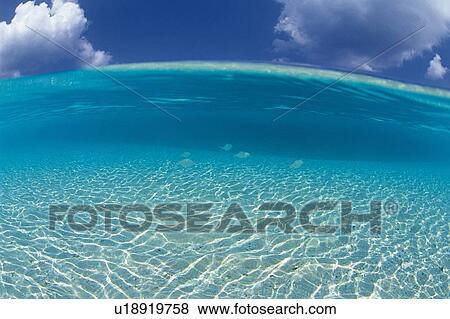 Stock Photo - Blue Sea. Fotosearch