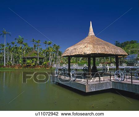 Botanical Garden View Large Photo Image Stock Image - Botanical Garden. Fotosearch