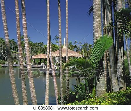 Stock Image - Botanical Garden. Fotosearch