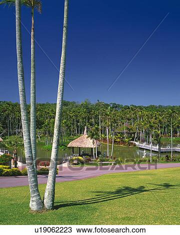 Botanical Garden View Large Photo Image Stock Image - Botanical Garden. Fotosearch