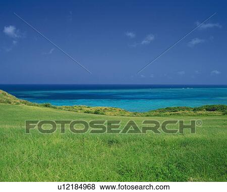 Meadow View Large Photo Image Stock Photo - Meadow. Fotosearch