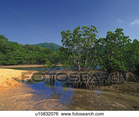 Nature View Large Photo Image Stock Photograph - Nature. Fotosearch