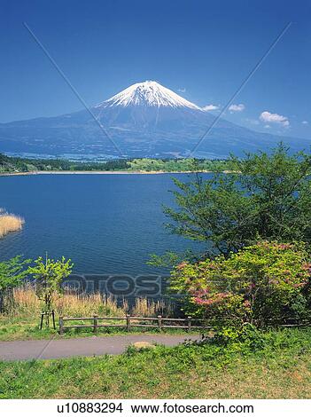 Picture - Lake Shoji and Mt. Fuji, Fujinomiya city, Shizuoka prefecture, Japan. Fotosearch