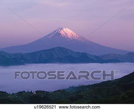 Mt. Fuji and field of clouds in the morning, Hakone town, Kanagawa prefecture, Japan View Large Photo Image Stock Image - Mt. Fuji and field of clouds in the morning, Hakone town, Kanagawa prefecture, Japan. Fotosearch