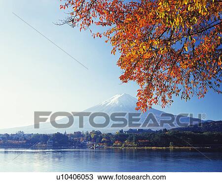 Mt. Fuji and Lake Kawaguchi in autumn, Kawaguchiko town, Yamanashi prefecture, Japan View Large Photo Image Stock Image - Mt. Fuji and Lake Kawaguchi in autumn, Kawaguchiko town, Yamanashi prefecture, Japan. Fotosearch