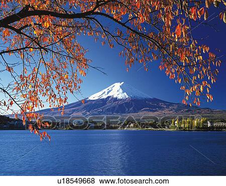 Stock Photo - Mt. Fuji and Lake Kawaguchi in autumn, Kawaguchiko town, Yamanashi prefecture, Japan. Fotosearch