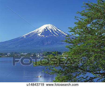 Mt. Fuji and Lake Kawaguchi, Kawaguchiko town, Yamanashi prefecture, Japan View Large Photo Image Stock Photo - Mt. Fuji and Lake Kawaguchi, Kawaguchiko town, Yamanashi prefecture, Japan. Fotosearch