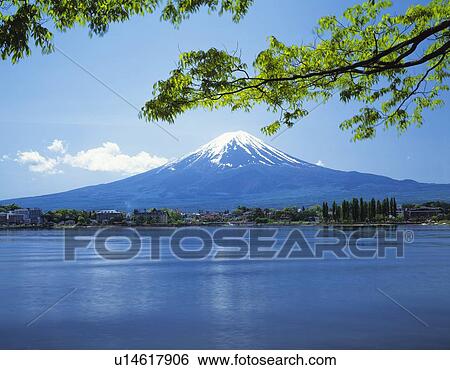 Mt. Fuji and Lake Kawaguchi, Kawaguchiko town, Yamanashi prefecture, Japan View Large Photo Image Stock Photograph - Mt. Fuji and Lake Kawaguchi, Kawaguchiko town, Yamanashi prefecture, Japan. Fotosearch
