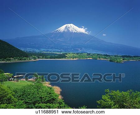 Mt. Fuji and Lake Shoji in May, Fujinomiya city, Shizuoka prefecture, Japan View Large Photo Image Stock Image - Mt. Fuji and Lake Shoji in May, Fujinomiya city, Shizuoka prefecture, Japan. Fotosearch