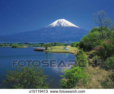 Mt. Fuji and Lake Shoji in May, Fujinomiya city, Shizuoka prefecture, Japan View Large Photo Image Stock Image - Mt. Fuji and Lake Shoji in May, Fujinomiya city, Shizuoka prefecture, Japan. Fotosearch