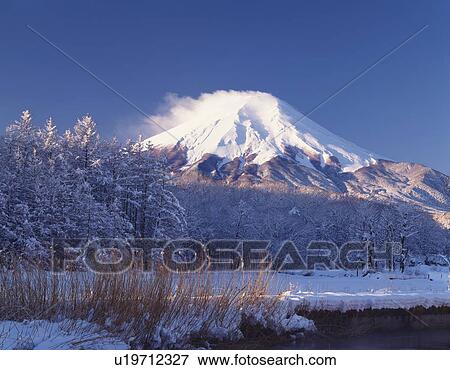 Mt. Fuji and trees covered with snow, Oshino village, Yamanashi prefecture, Japan View Large Photo Image Stock Photo - Mt. Fuji and trees covered with snow, Oshino village, Yamanashi prefecture, Japan. Fotosearch