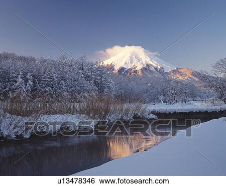 Mt. Fuji and trees covered with snow, low angle view, Oshino village, Yamanashi prefecture, Japan View Large Photo Image Stock Photograph - Mt. Fuji and trees covered with snow, low angle view, Oshino village, Yamanashi prefecture, Japan. Fotosearch