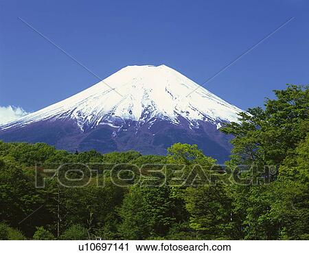 Mt. Fuji and trees in May, Oshino village, Yamanashi prefecture, Japan View Large Photo Image Stock Image - Mt. Fuji and trees in May, Oshino village, Yamanashi prefecture, Japan. Fotosearch