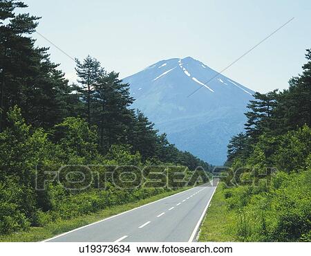 Mt. Fuji from driveway between greens, Kawaguchiko town, Yamanashi prefecture, Japan View Large Photo Image Picture - Mt. Fuji from driveway between greens, Kawaguchiko town, Yamanashi prefecture, Japan. Fotosearch