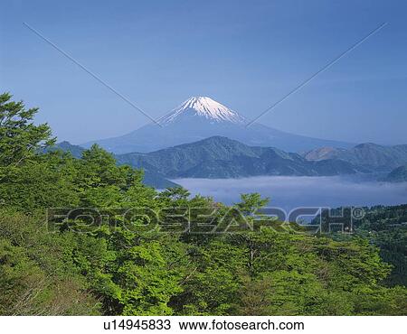 Mt. Fuji from Hakone, Hakone town, Kanagawa prefecture, Japan View Large Photo Image Stock Image - Mt. Fuji from Hakone, Hakone town, Kanagawa prefecture, Japan. Fotosearch