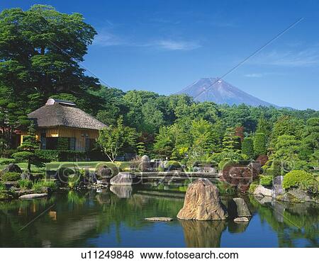Stock Photo - Mt. Fuji from Japanese garden, Oshino village, Yamanashi prefecture, Japan. Fotosearch