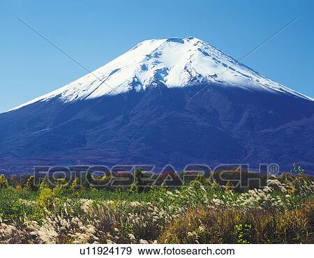 Stock Photo - Mt. Fuji in autumn, Oshino village, Yamanashi prefecture, Japan. Fotosearch