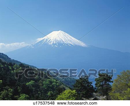 Stock Photo - Mt. Fuji in May, Kawaguchiko town, Yamanashi prefecture, Japan. Fotosearch