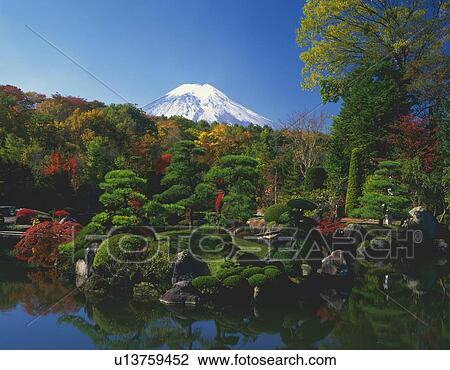 Stock Image - Top of Mt. Fuji from Japanese Garden, Oshino village, Yamanashi prefecture, Japan. Fotosearch
