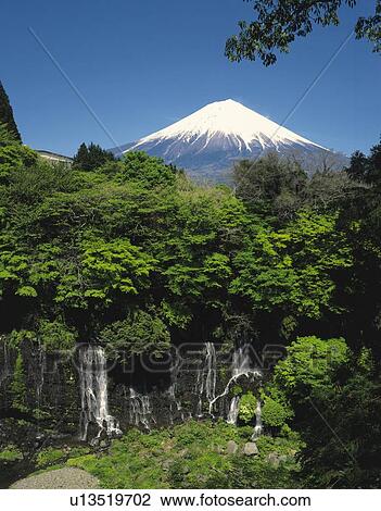 Waterfalls and Mt. Fuji, Fujinomiya city, Shizuoka prefecture, Japan View Large Photo Image Stock Image - Waterfalls and Mt. Fuji, Fujinomiya city, Shizuoka prefecture, Japan. Fotosearch