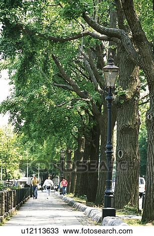 Park View Large Photo Image Stock Image - Park. Fotosearch