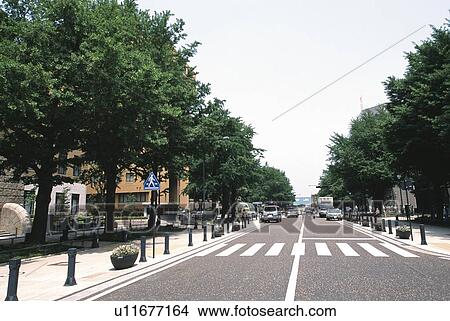 Picture - Street. Fotosearch