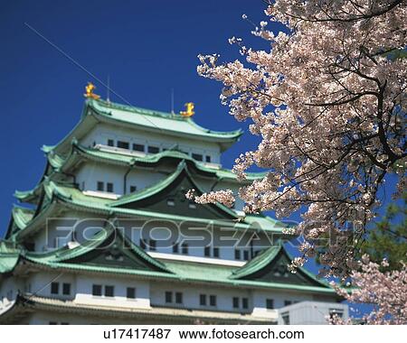 Nagoya Castle, Nagoya City, Japan, Low Angle View, Pan Focus View Large Photo Image Stock Photo - Nagoya Castle, Nagoya City, Japan, Low Angle View, Pan Focus. Fotosearch