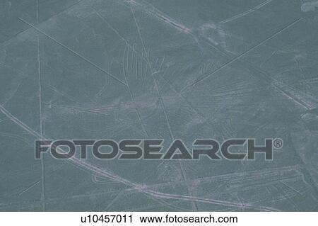 Nasca, Peru, South America, High Angle View, Pan Focus View Large Photo Image Stock Image - Nasca, Peru, South America, High Angle View, Pan Focus. Fotosearch