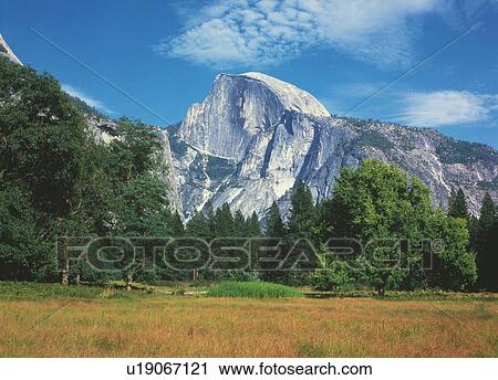 Stock Image - Yosemite National Park, California, United States of America, Low Angle View, Pan Focus. Fotosearch