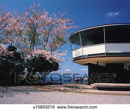 Stock Photo - Hiroyama Park, Shonan, Kanagawa Prefecture, Japan, Low Angle View, Pan Focus. Fotosearch
