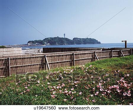 The View, Pan Focus of Enoshima Island from Kugenuma Beach, Shonan, Kanagawa Prefecture, Japan, Front View, Pan Focus View Large Photo Image Stock Image - The View, Pan Focus of Enoshima Island from Kugenuma Beach, Shonan, Kanagawa Prefecture, Japan, Front View, Pan Focus. Fotosearch