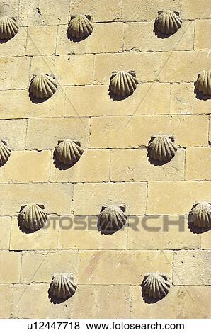 Spain, Castilla Leon, Salamanca, Architecture detail, Architecture details, Library, Casa de las conchas View Large Photo Image Stock Photo - Spain, Castilla Leon, Salamanca, Architecture detail, Architecture details, Library, Casa de las conchas. Fotosearch