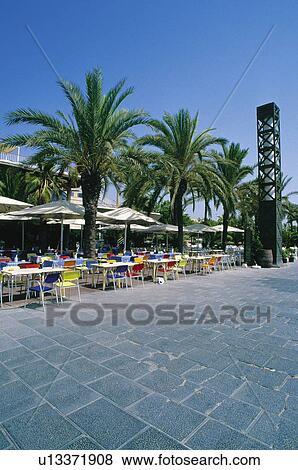 Barcelona, Cataluña, Spain, City, Town, Tree, Trees View Large Photo Image Stock Photo - Barcelona, Cataluña, Spain, City, Town, Tree, Trees. Fotosearch