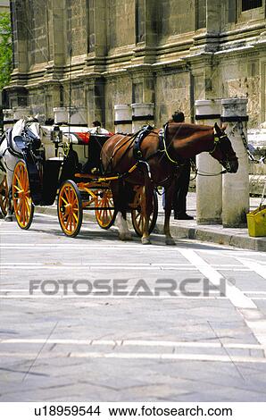 Picture - Sevilla, Andalucia, Andalusia, Spain, Town, City, Paved. Fotosearch