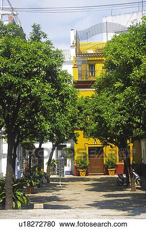 Sevilla, Andalucia, Andalusia, Spain, Town, City, Building View Large Photo Image Stock Image - Sevilla, Andalucia, Andalusia, Spain, Town, City, Building. Fotosearch