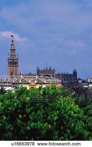 Sevilla, Andalucia, Andalusia, Spain, Town, City, Tree View Large Photo Image Stock Photo - Sevilla, Andalucia, Andalusia, Spain, Town, City, Tree. Fotosearch
