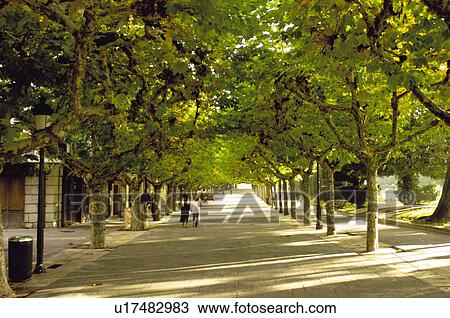 Spain, Castilla leon, Burgos, City, Town, Tree, Trees View Large Photo Image Stock Image - Spain, Castilla leon, Burgos, City, Town, Tree, Trees. Fotosearch