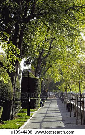 Stock Photo - Spain, Castilla leon, Burgos, City, Town, Tree, Trees. Fotosearch