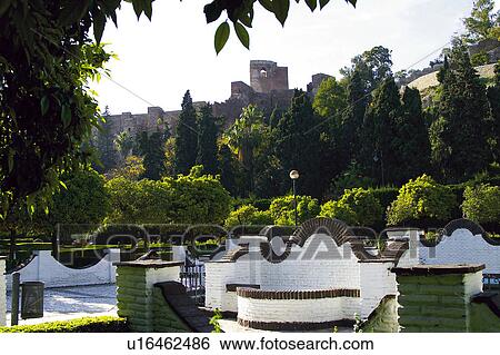 Spain, Andalucia, Andalusia, Malaga, Garden, Gardens, Pedro luis alfonso View Large Photo Image Stock Photograph - Spain, Andalucia, Andalusia, Malaga, Garden, Gardens, Pedro luis alfonso. Fotosearch